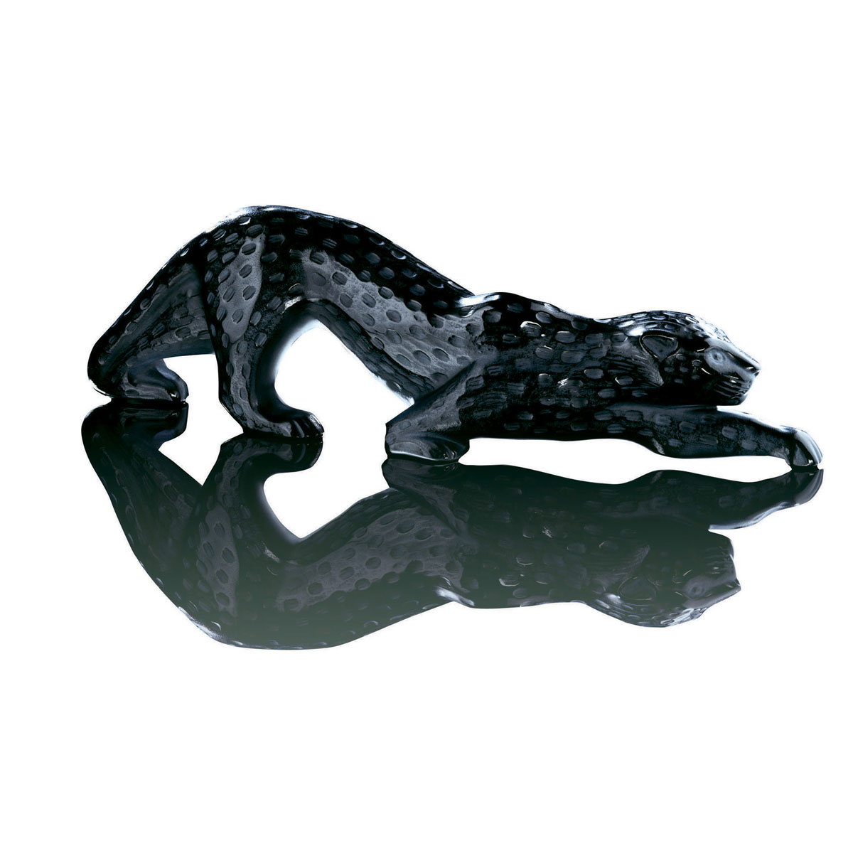 Lalique Zeila Black Panther 14.5